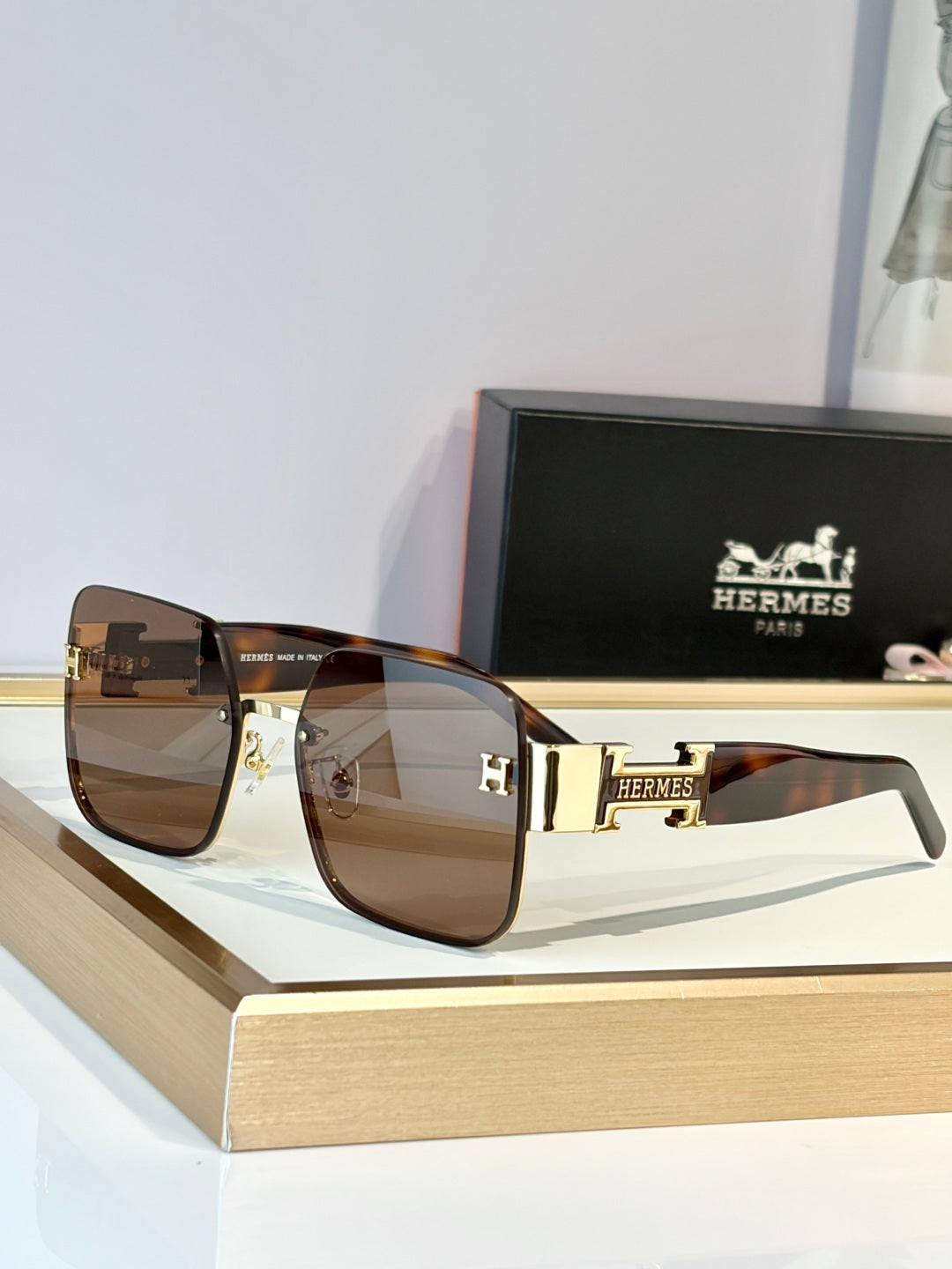 HERMES Sunglasses-H8021